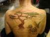 Bonsai scene in progress tattoo