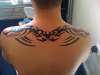 Tribal tattoo