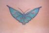 Butterfly on lower back tattoo