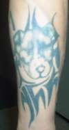pit3 tattoo
