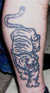 tiger tattoo