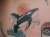 My second orca.... tattoo