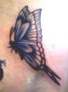 Flutterby Blue tattoo