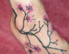 Cherry blossoms tattoo