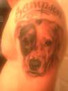 pitbull portrait (sampson) tattoo
