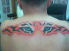 tiger eyes tattoo