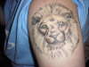 Lion tattoo