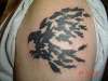 Murder of Crows tattoo