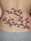 My 1st Tat ! tattoo