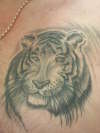 My Tiger tattoo