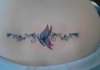 Butterfly Tattoo <3 tattoo