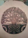 Celtic Tree tattoo