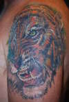 Tiger tattoo