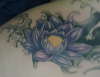 flotus flower with highlights... just done! tattoo
