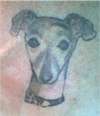 twiggy tattoo