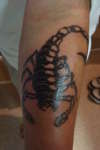 scorpion tattoo