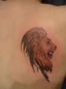lion tattoo