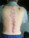 stars on my girls back took about a hour fifteen min.. love u tattoo