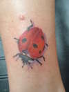 Ladybug tattoo