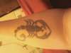 scorpio tattoo