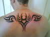 tribal tattoo