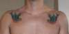 Sparrows on Chest tattoo