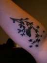 Bird w/ vine and leaves. tattoo