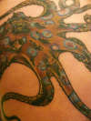 Blue Ring Octopus tattoo