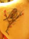 sparrow & cherry blossom branch tattoo