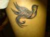 sparrow tattoo