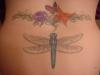 Dragon Fly tattoo
