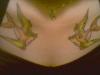 swallows tattoo