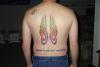 My back tattoo