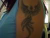 Phoenix tattoo