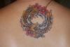 Koi tattoo