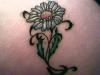 Traceys Daisy tattoo