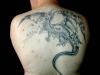 dragon - thinking of adding background tattoo