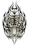 tiger tattoo