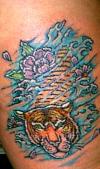 {{ Tigress }} tattoo